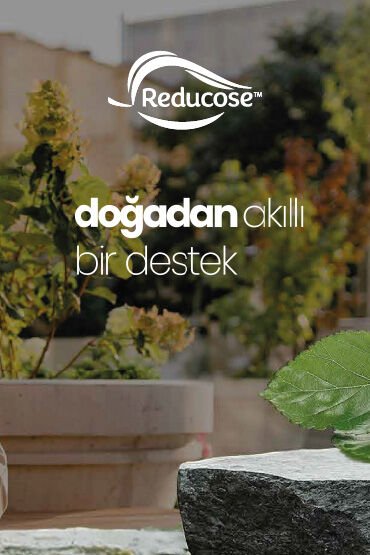 WELLESSENCE® GLUCOFIT® Dut Yaprağı Ekstresi, Tarçın Ekstresi ve Krom İçeren Takviye Edici Gıda 30 Kapsül