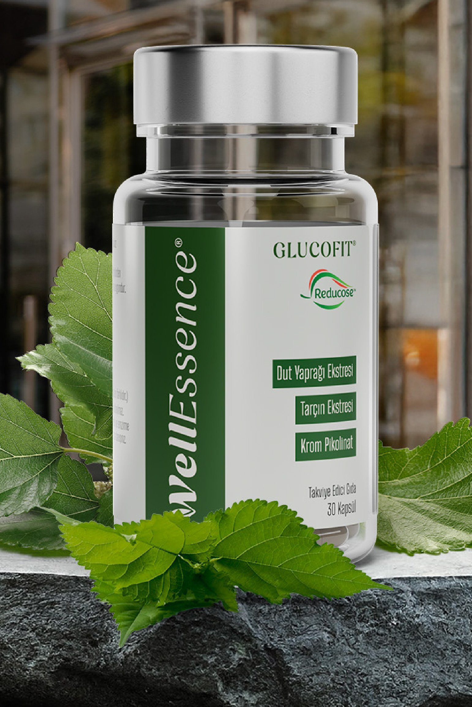 <h4>WellEssence Glucofit'i</h4><p>Keşfet</p>
